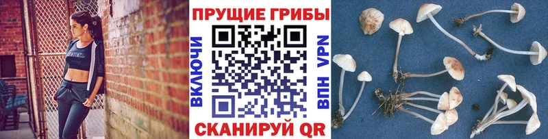 Псилоцибиновые грибы мицелий  Лаишево 